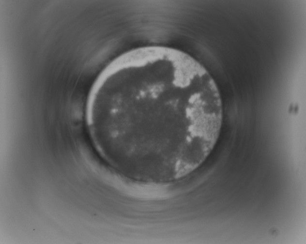 X0000113850032200910151223