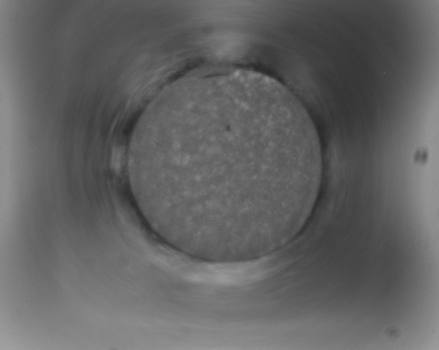 X0000113850033200910151223