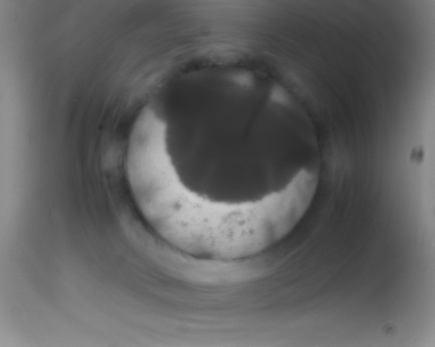 X0000113850034200910151223