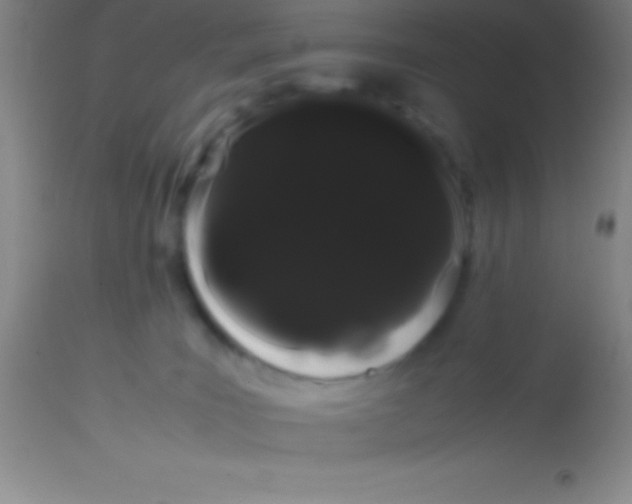 X0000113850035200910151223