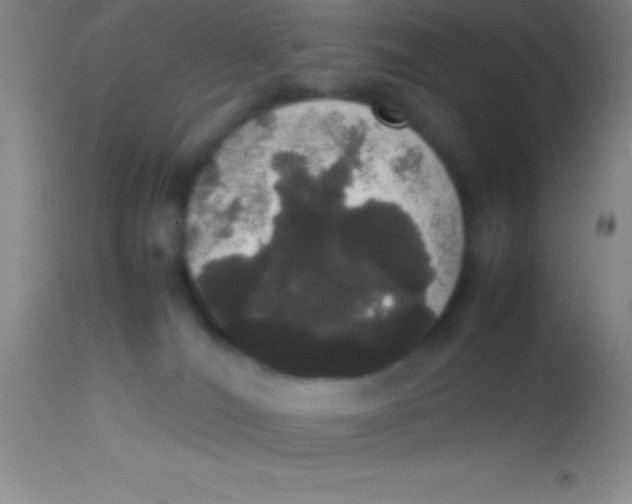 X0000113850036200910151223