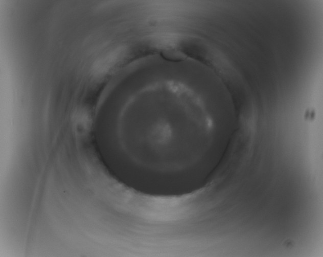 X0000113850037200910151223