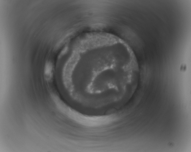 X0000113850038200910151223