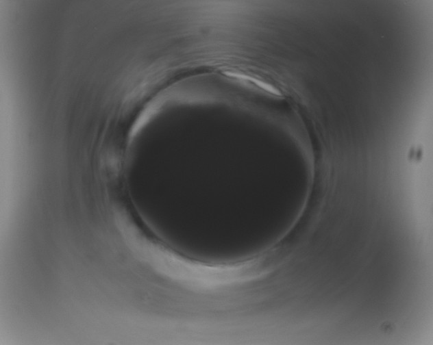 X0000113850039200910151223