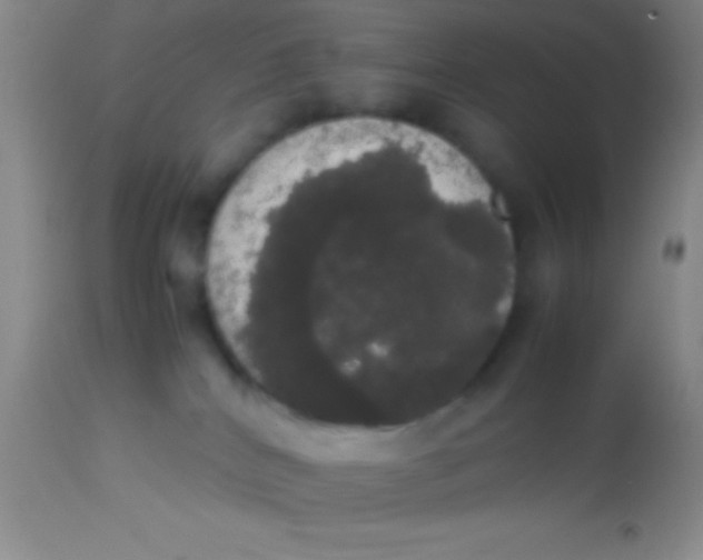 X0000113850040200910151223