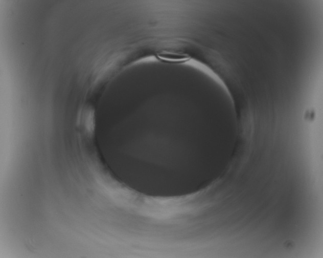 X0000113850041200910151222