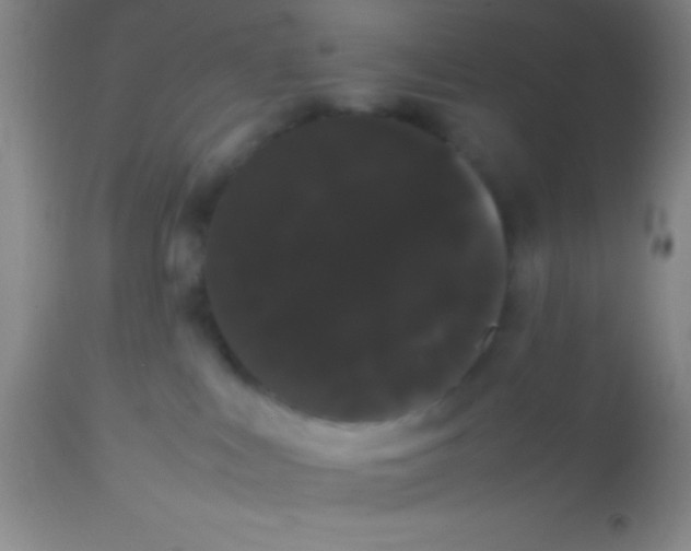 X0000113850043200910151222