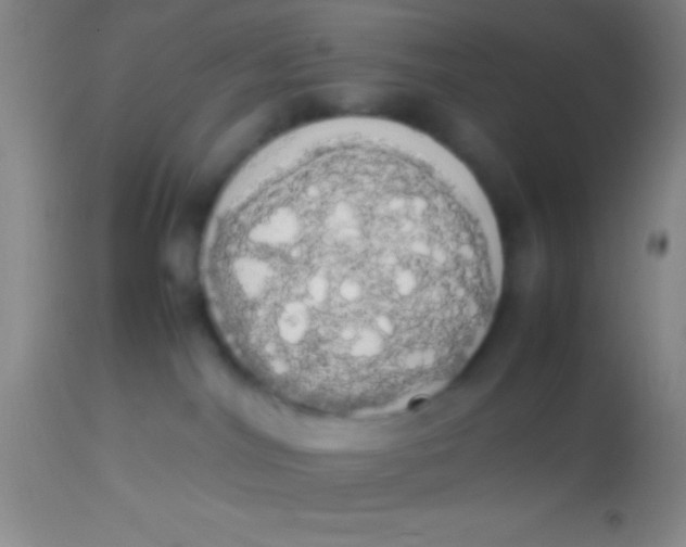 X0000113850044200910151222