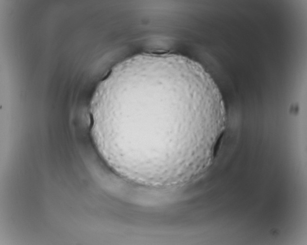 X0000113850045200910151222