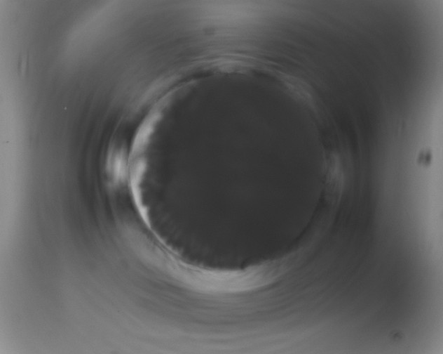 X0000113850046200910151222