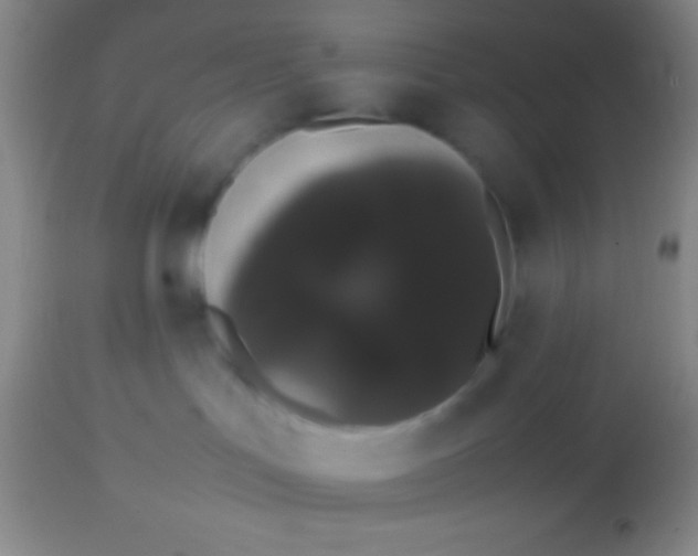 X0000113850047200910151222