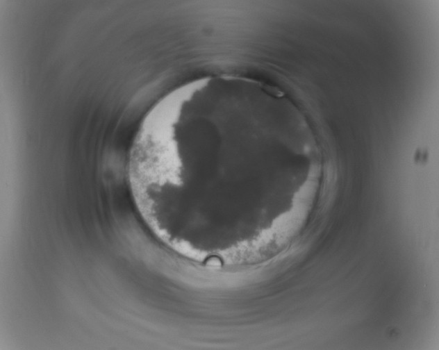 X0000113850048200910151222