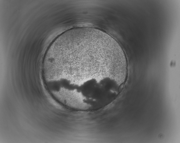 X0000113850049200910151222