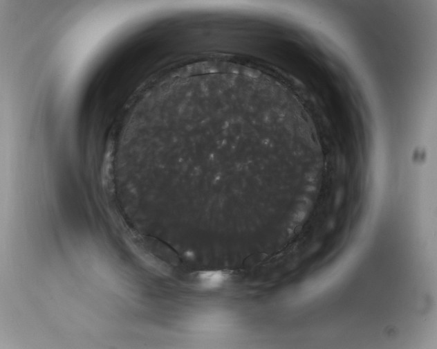 X0000113850050200910151222