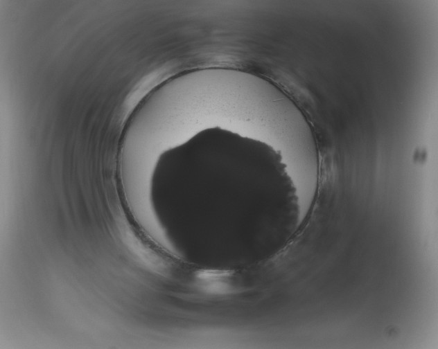 X0000113850051200910151222