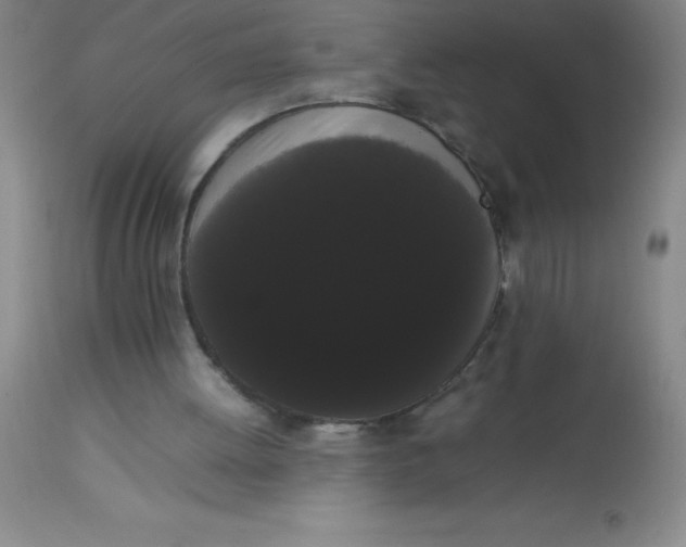 X0000113850052200910151222