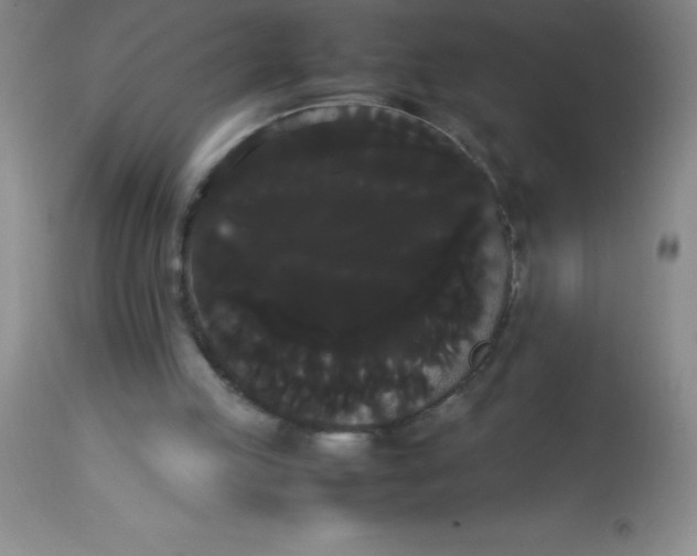 X0000113850053200910151222