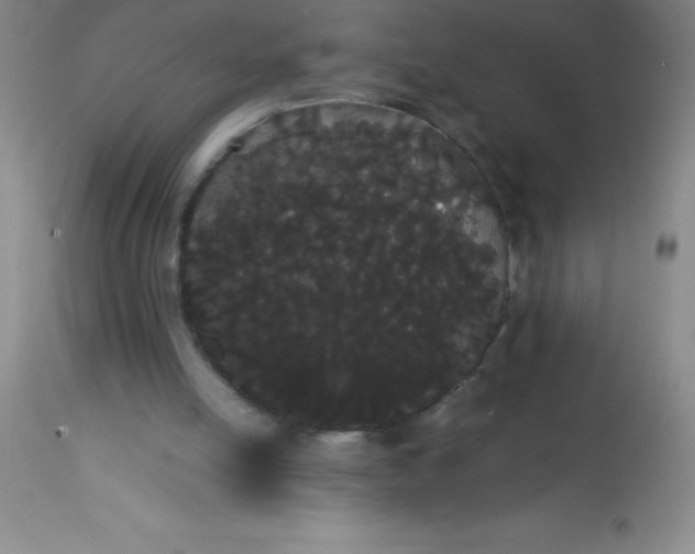 X0000113850054200910151222