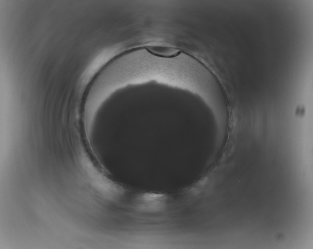 X0000113850055200910151222