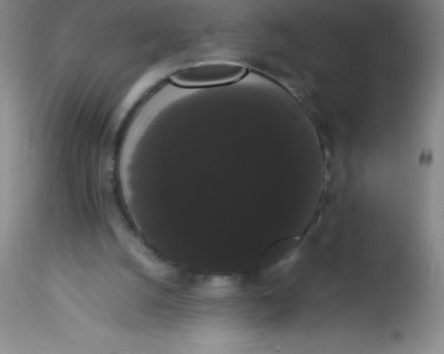 X0000113850056200910151222