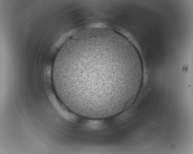 X0000113850057200910151222