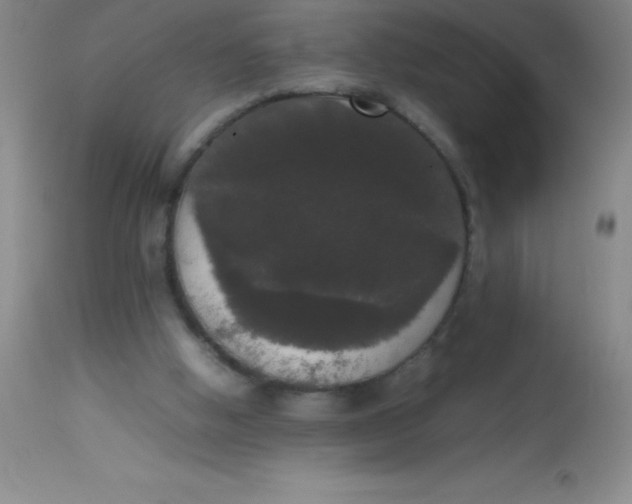 X0000113850058200910151222