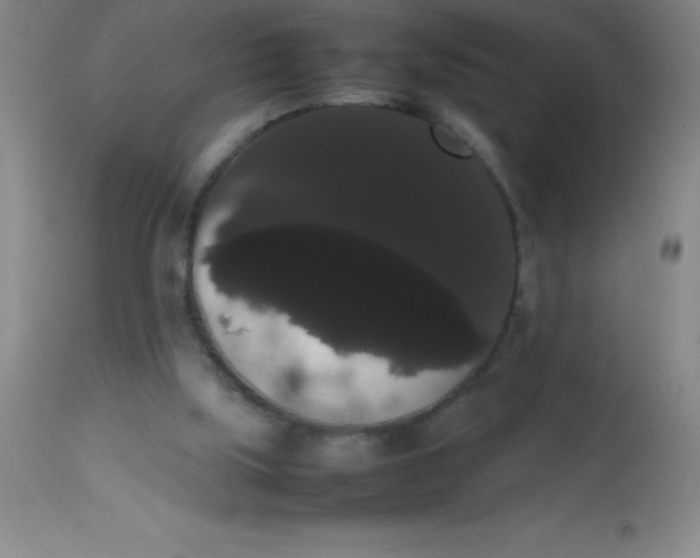 X0000113850059200910151222