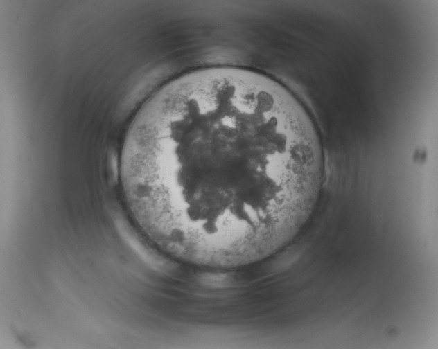 X0000113850061200910151222