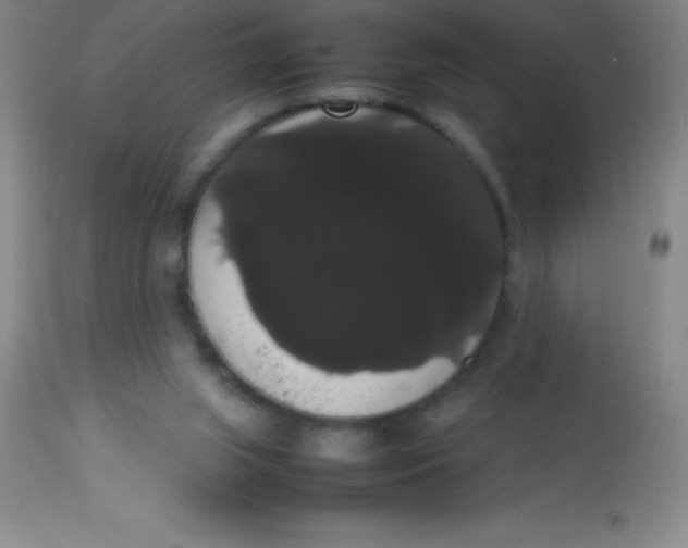 X0000113850063200910151222