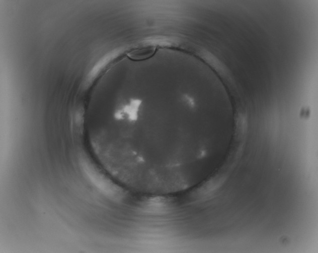 X0000113850064200910151222