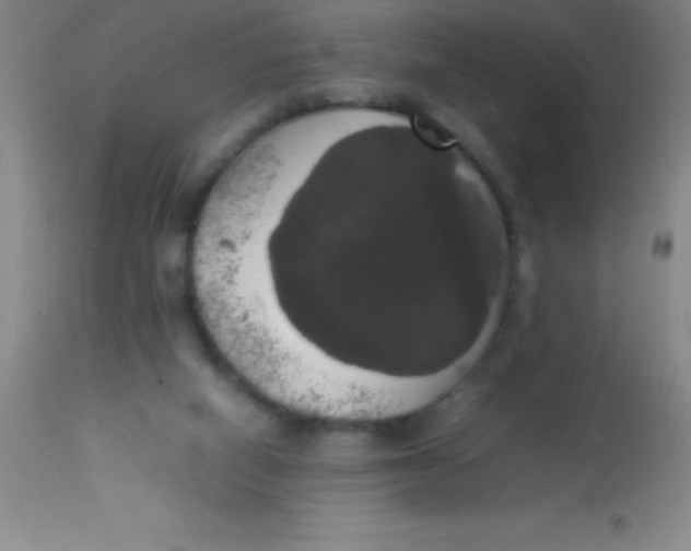 X0000113850066200910151222