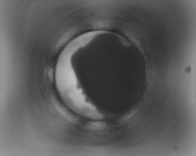 X0000113850067200910151222