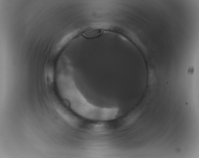 X0000113850068200910151222