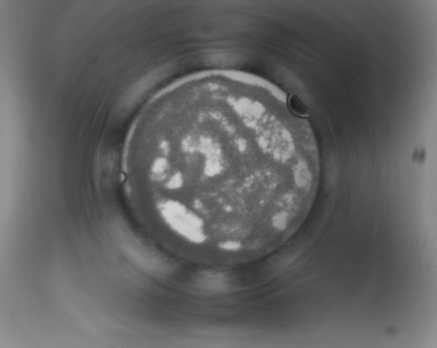 X0000113850071200910151222