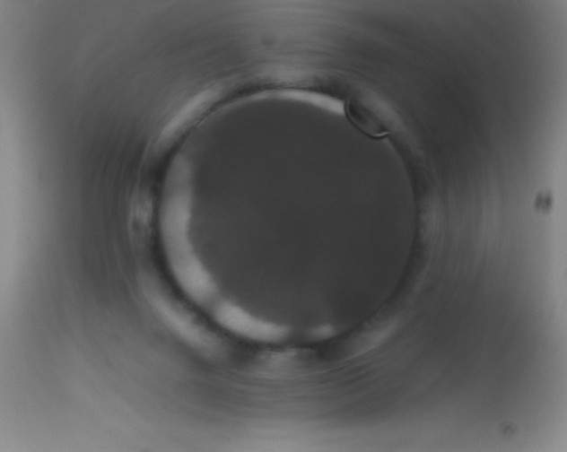 X0000113850072200910151222