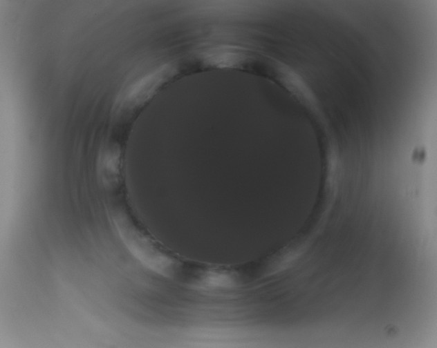 X0000113850073200910151222