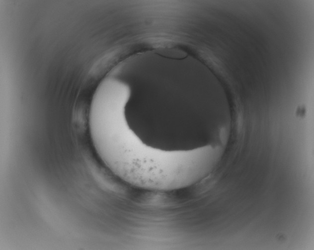 X0000113850074200910151222