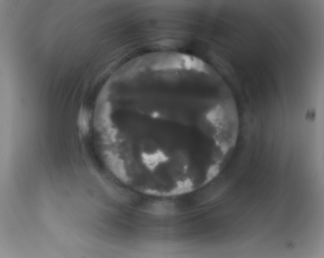 X0000113850075200910151222