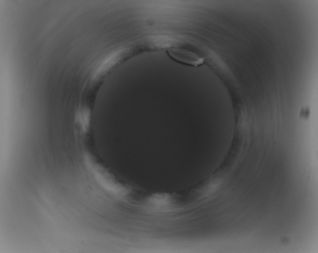 X0000113850076200910151222