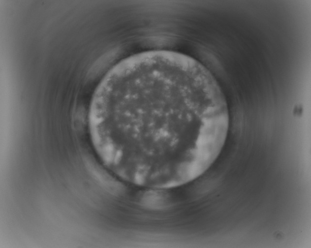 X0000113850077200910151222