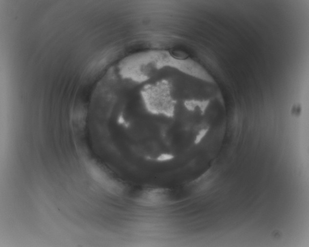 X0000113850078200910151222