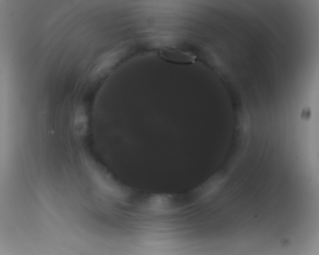 X0000113850080200910151222