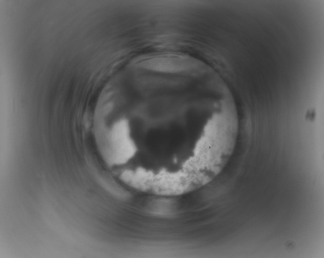 X0000113850081200910151222