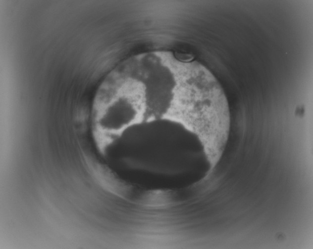 X0000113850082200910151222