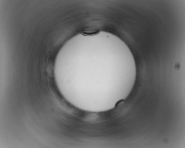 X0000113850083200910151222