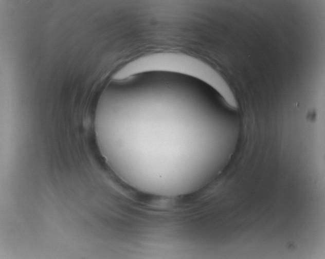 X0000113850084200910151222