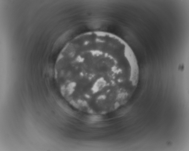 X0000113850085200910151222