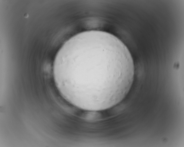 X0000113850087200910151222