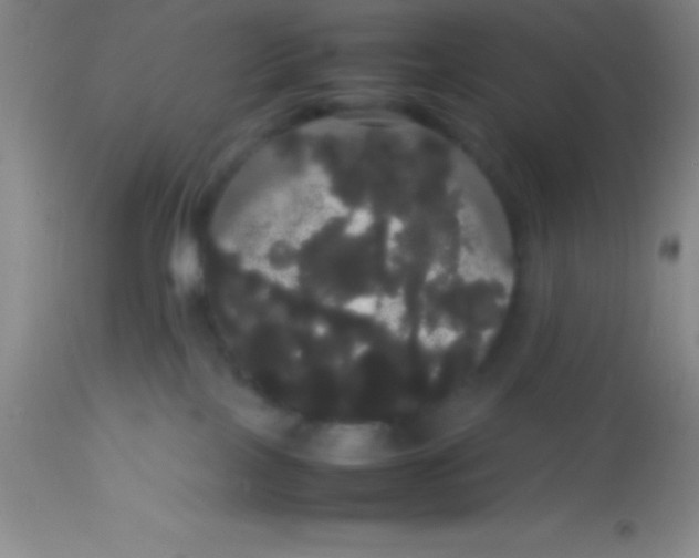 X0000113850089200910151222