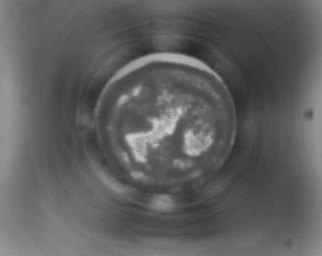 X0000113850091200910151222